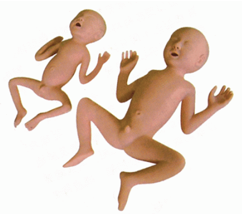 嬰兒心肺復蘇模型