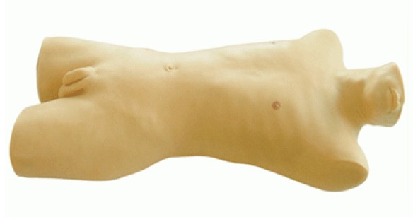 知能醫(yī)學后穹隆穿刺模型產品介紹