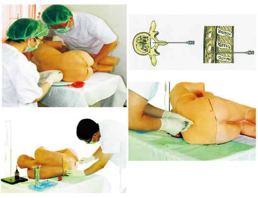 知能醫學腰椎穿刺仿真模擬人怎么用？