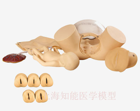 助產(chǎn)訓(xùn)練模型的發(fā)展