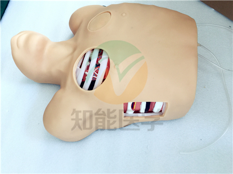 胸腔穿刺引流模型實(shí)拍圖2