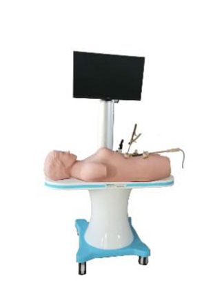 知能醫學腹腔鏡手術技能訓練人體模型 知能醫學腹腔鏡手術技能訓練人體模型