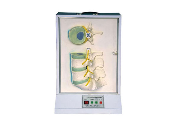 腰骶椎、椎間盤和脊神經電動模型產品功能測試報告