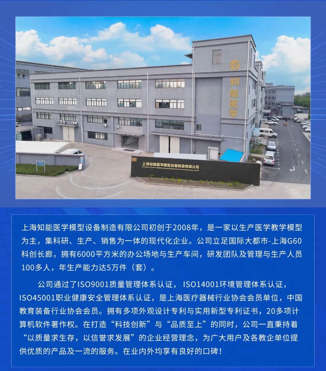 心肺復蘇模擬人