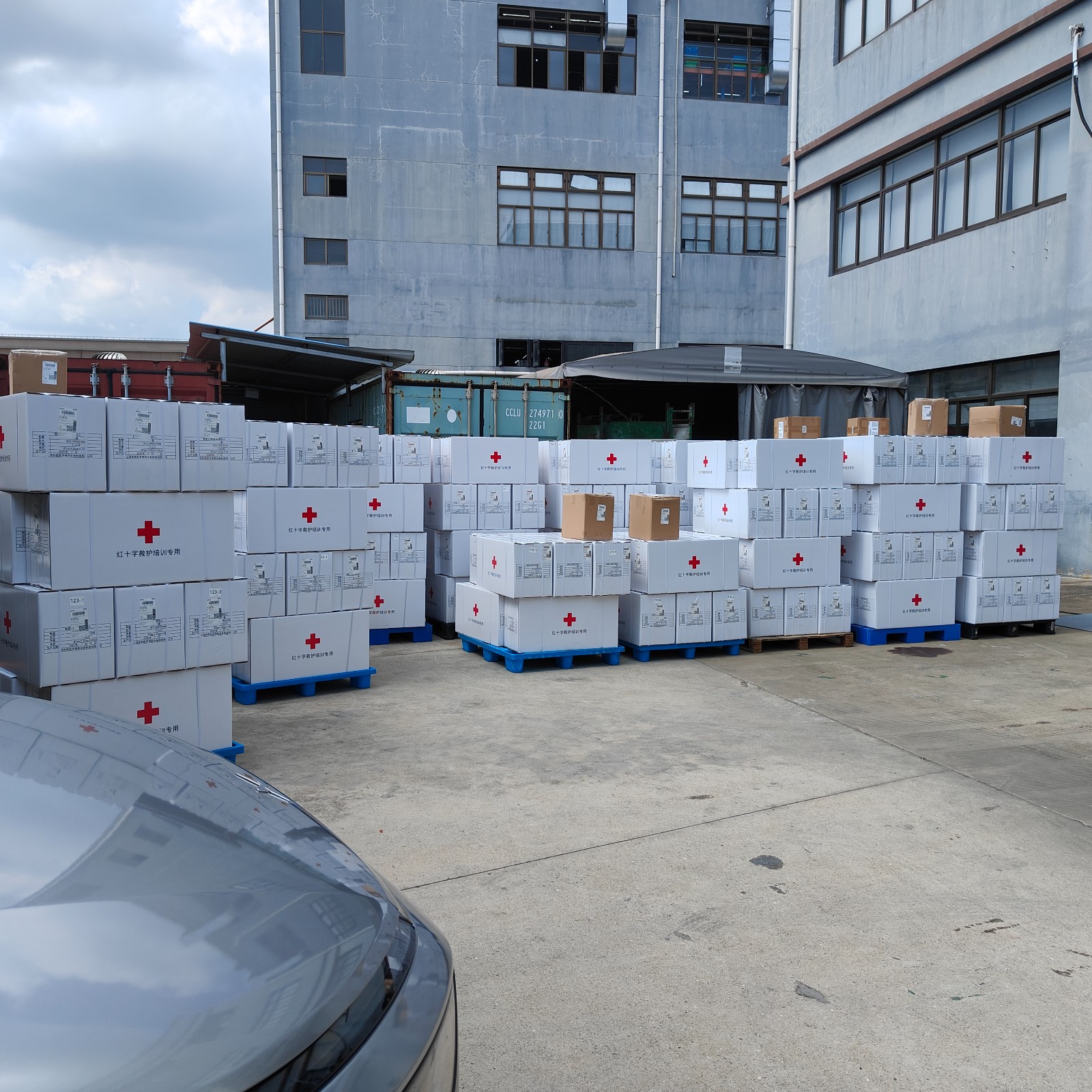 中國紅十字會救護培訓模型出貨中