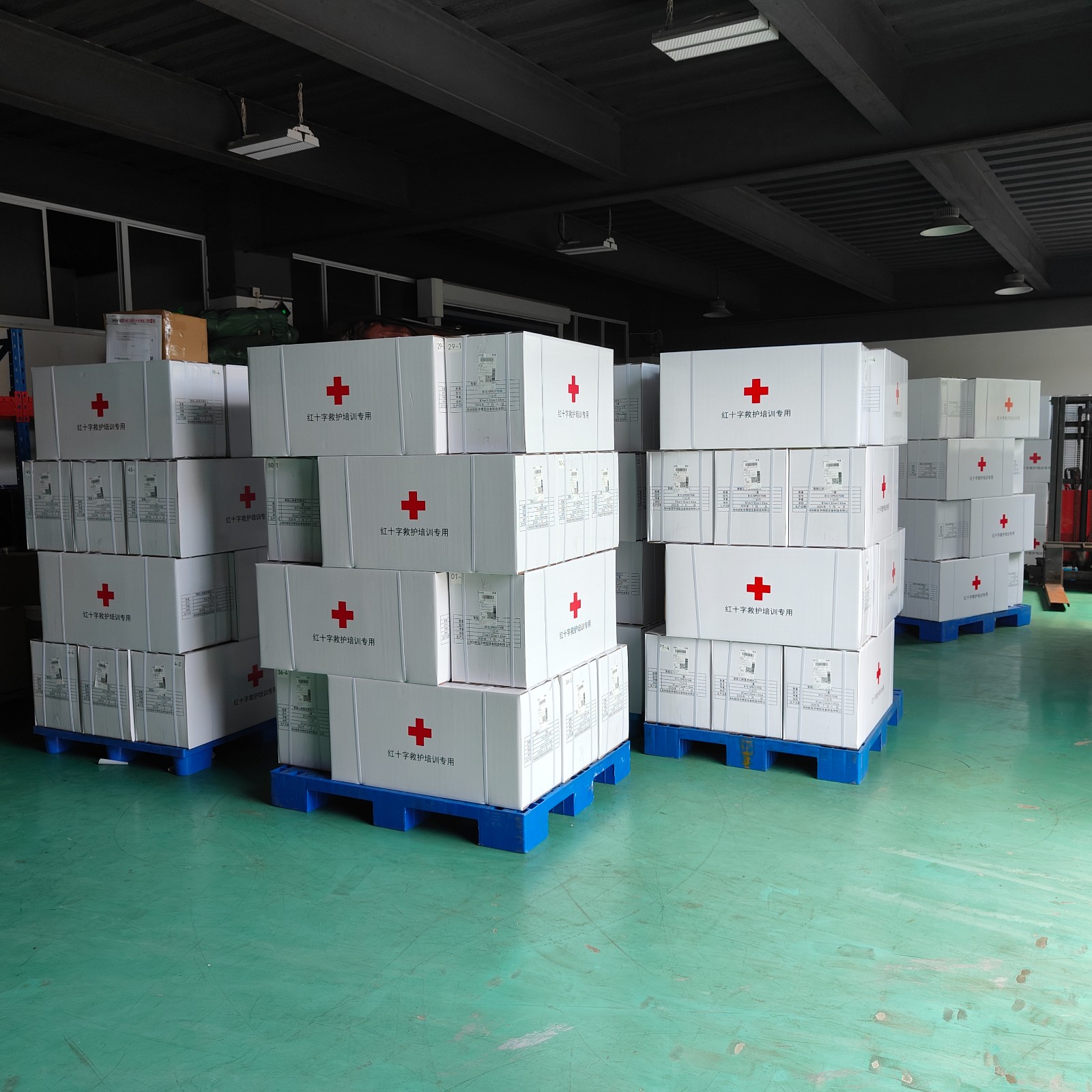 紅十字會救護培訓模型