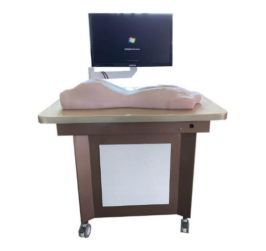 中醫(yī)拔罐、刮痧、推拿練習(xí)模型(BIX-BGTMX)