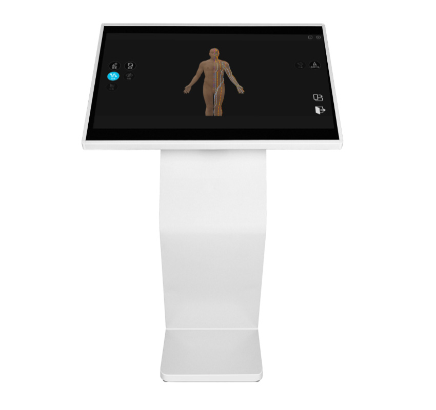 中醫經絡穴位解剖平臺(BIX-JLXW)