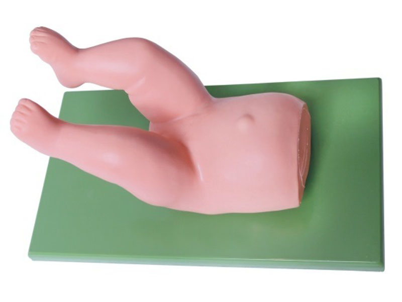 嬰兒髖關節復位操作模型